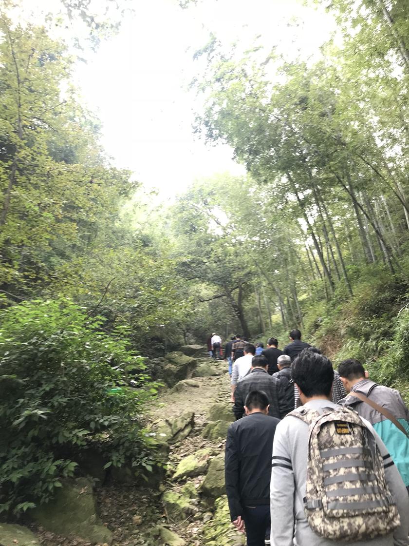 1540437416947594.jpg 秋游_副本.jpg