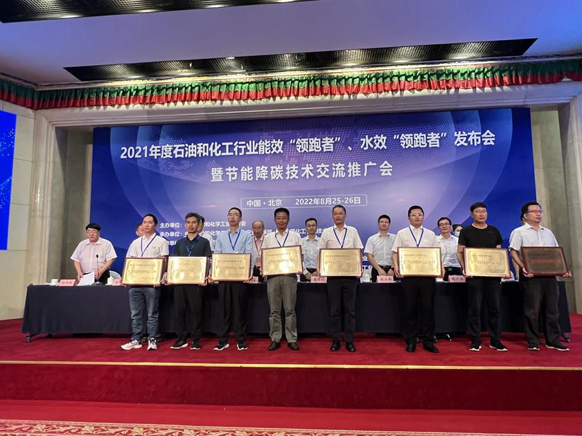 1661403903225099.jpg 22.jpg