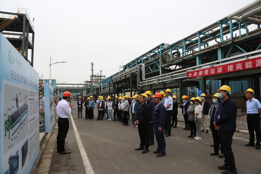 1685321223505193.jpg 22.jpg